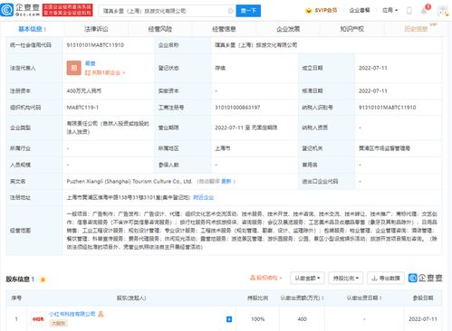 票務(wù)代理服務(wù) 便捷與風(fēng)險(xiǎn)并存的選擇